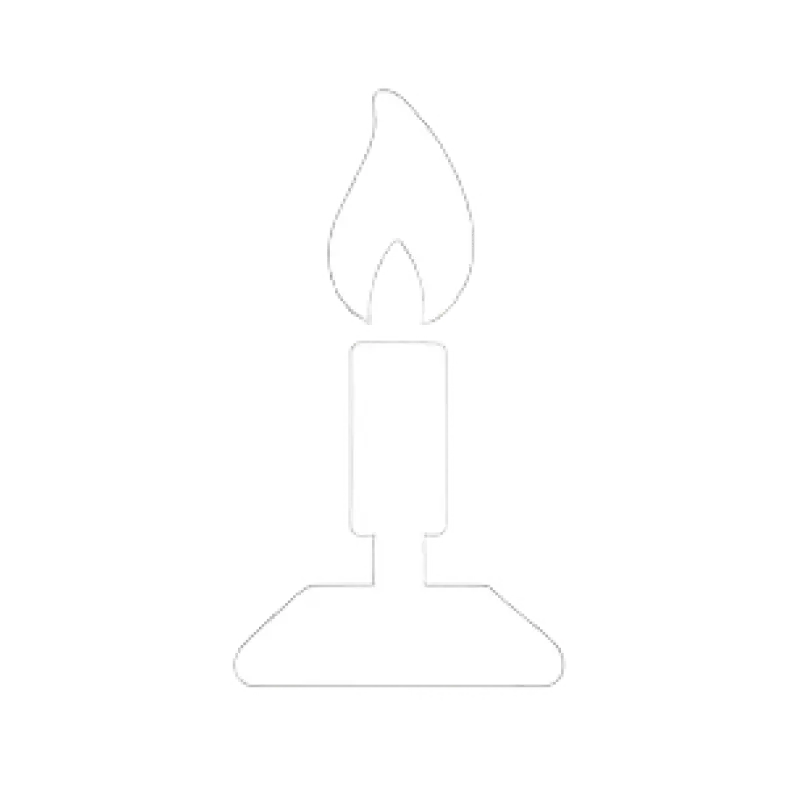 Bunsen Burner